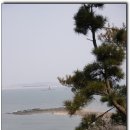 장고도4 이미지