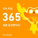 드라마로 배우는 중국어(야간) | 듀오링고 중국어_ 정답 &amp; 오답 해설 추가