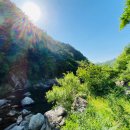 내리계곡펜션 이미지