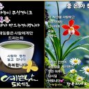 26)11. 莊子장자 雜篇잡편 第26篇 外物외물(第11章)/한미훈련,美 맘다니,오만 폭격,한국 왜 돕냐,앤트로픽 지분,북극항로,마이크론 이미지