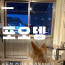 포오뎅 이미지