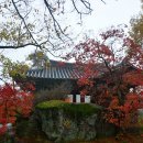 미파랑 한옥 | 영주, 봉화여행 / 무섬마을, 소수서원, 부석사, 닭실마을