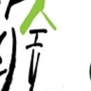 주정차043 네이버블로그