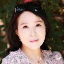 정은정
