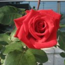 사회복지실천기술론 이미지