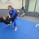 아트주짓수레슬링 | 염창역주짓수 <아트주짓수 강서> 여성도 배우기 좋은 운동 후기