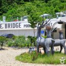 비브릿지 이미지