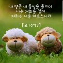 중앙성결교회 이미지