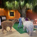 테이블에이 놀이터 이미지