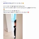 와이니즈 이미지