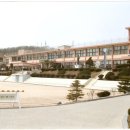 흥도초교 Daum카페