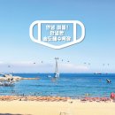 송도해수욕장 이미지