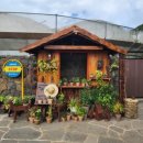 색달무상 | 제주투어패스 알찬 사용 후기