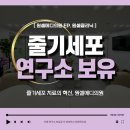 원셀메디의원 이미지