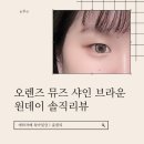 오렌즈 마산점 | 오렌즈 뮤즈 샤인 브라운 원데이｜자연광 vs 실내 착용 비교 내돈내산 솔직후기