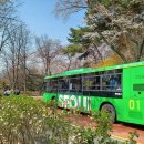 남산공원길2 이미지