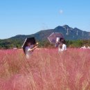 차 향기 속 세계사 기행 | 콩깍지 10월단풍여행.포천아트밸리.산정호수. 비둘기낭폭포. 제부도해상케이블카.