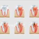 서울더탑치과의원 이미지