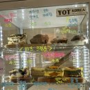 연지회관(본점) | [부산 초읍 연지 카페] HOXY 혹시 초읍본점+ 피스타치오 하프크럼블 + 두바이 크럼블+ 주차