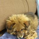 남산평기리 이미지