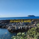 무인인형뽑기방창업-장소,위치,인테리어,성공사례보다 더 중요한 것은, 성공하려면, 이미지