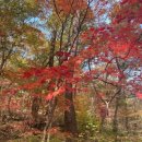 용담수 | 우이동(牛耳洞)과 계곡의 아름다움