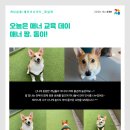 개님살롱 레이크사이드 이미지