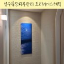 성수뚝섬피부관리 성동구피부관리 트리버에스테틱성수 피지관리 후기