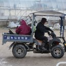 작은수해마을 이미지