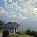 차오름농장 | [베트남 사파 토파스 에코로지] 천국에서의 2박 3일🦋 :: 프리미엄 객실, 프라이빗 밴, 라이스스파, 무료...