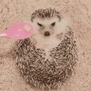 31140-5-9-9 이미지