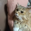 우림약국 이미지