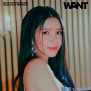 솔라 이미지