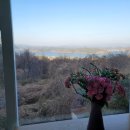 봉수산숲펜션 이미지