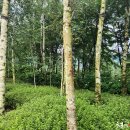 뮤지엄산미술관 이미지