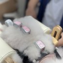 위런한방재활동물병원