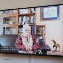 서울시립미술관 | [사당역 3분, 무료 전시] 남서울시립미술관 관람 후기 (+도슨트 꿀팁)