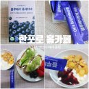 시너지엔블루베리퓨레 후기, 안데스블루베리 그대로 담은 건강한간식