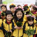 희망의 나무 이미지