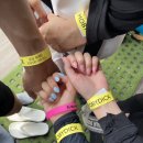 잠두유치원 | 2021년 7월 마지막 주 일상, 양천향교애견카페 왓더독, 가평여행, 모비딕 빠지, 춘천 어소오소, 모두의...