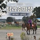 승마장 | 제주 승마체험 어디가 좋을까? 제주패스로 이용한 탐라승마장 후기