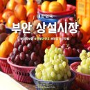 2020027 | 전북 부안 가볼만한곳 부안상설시장 맛집 전라도 여행지 추천 (+) 주차팁