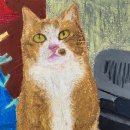 다리(DARI) 이미지