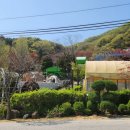 🚗 서울 근교 힐링 끝판왕! 동두천 벨라캠핑장 다녀왔어요~🌳