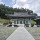 왕소나무길 | 강원도 고성 사찰, 건봉사 방문후기 | 주차, 볼거리, 소요시간[고성 가볼만한곳]