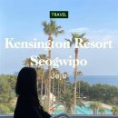 켄싱턴 리조트 서귀포(Kensington Resort Seogwipo) 이미지