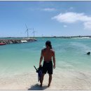 제주도게스트하우스파티달이머물 이미지