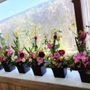 꽃꽂이 교실2 이미지