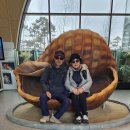 신안오토 이미지