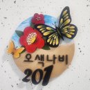 나비사회적협동조합